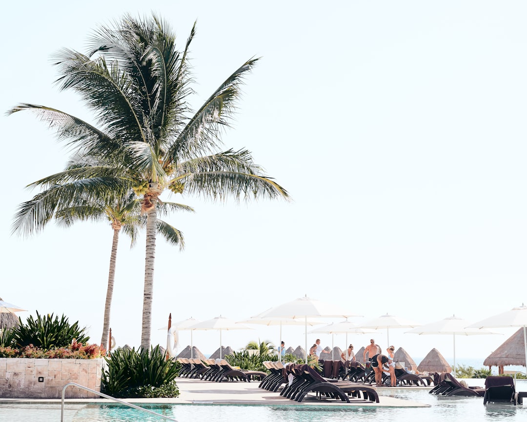 Stress-Free Family Adventures in Nuevo Vallarta and Flamingos: Your Ultimate Guide for Traveling Parents