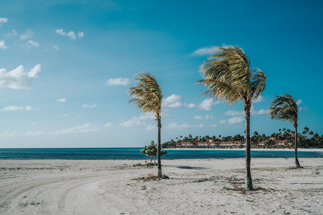 Stress-Free Family Fun in Nuevo Vallarta and Flamingos: Your Ultimate Parent’s Guide to Hassle-Free Travel