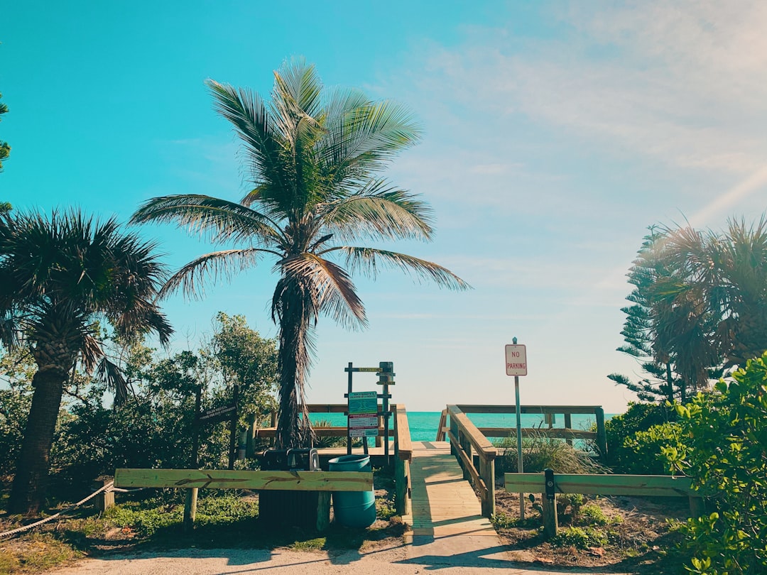 Family Fun Made Easy How to Travel Light and Stress-Free in Nuevo Vallarta and Flamingos with Kids